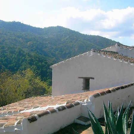 Molino El Pinillo Villa Jubrique Bagian luar foto