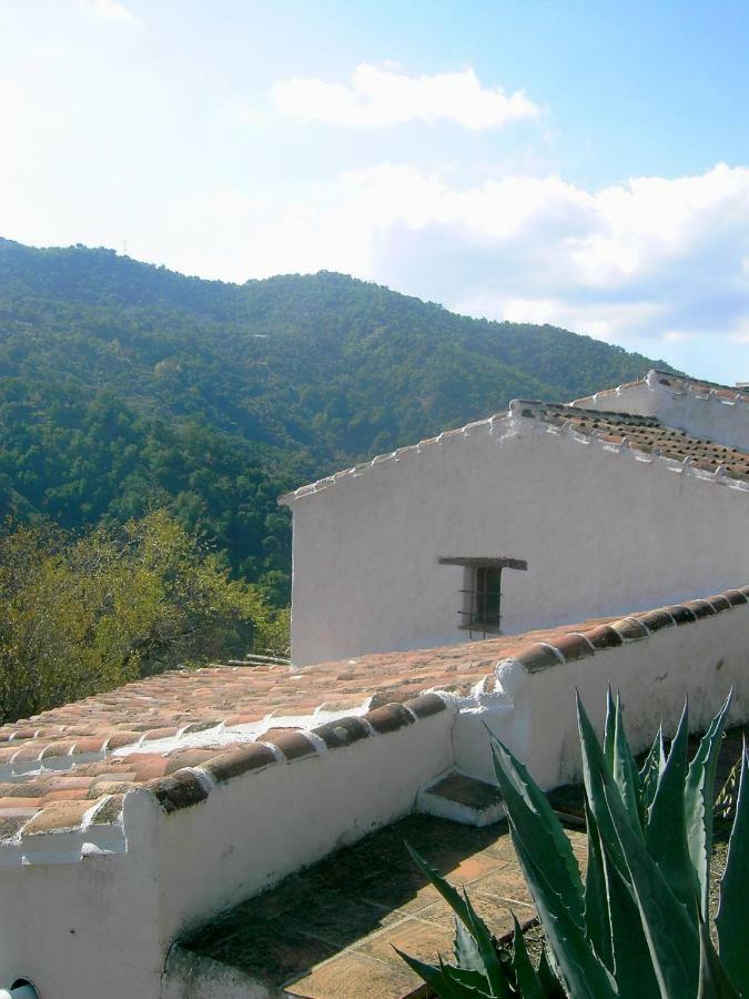 Molino El Pinillo Villa Jubrique Bagian luar foto